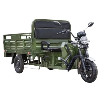 Грузовой электротрицикл Rutrike D4 NEXT PRO 1800 72V 1500W Зеленый